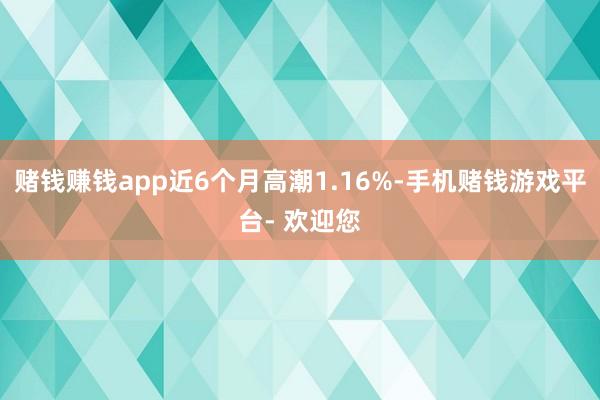 赌钱赚钱app近6个月高潮1.16%-手机赌钱游戏平台- 欢迎您