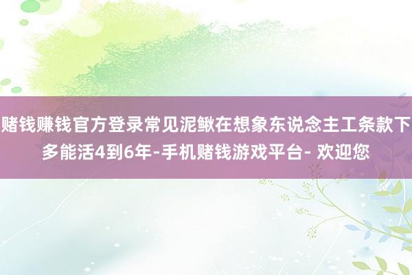 赌钱赚钱官方登录常见泥鳅在想象东说念主工条款下多能活4到6年-手机赌钱游戏平台- 欢迎您