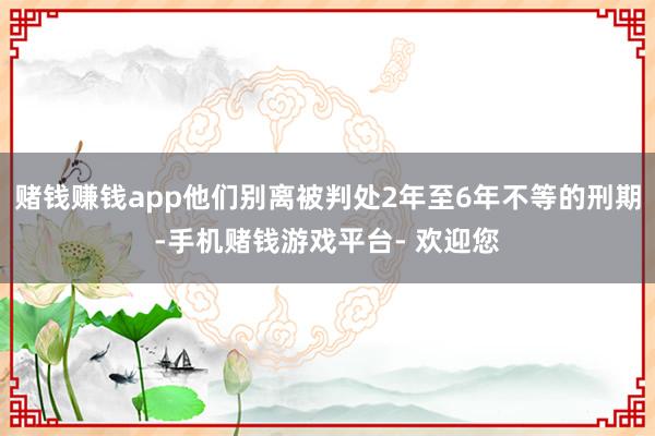 赌钱赚钱app他们别离被判处2年至6年不等的刑期-手机赌钱游戏平台- 欢迎您
