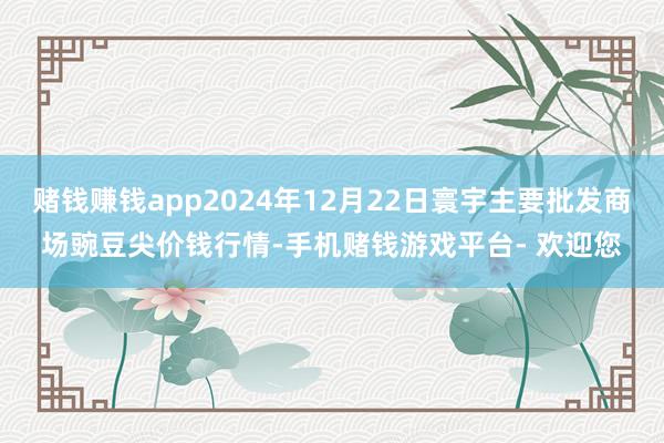 赌钱赚钱app2024年12月22日寰宇主要批发商场豌豆尖价钱行情-手机赌钱游戏平台- 欢迎您